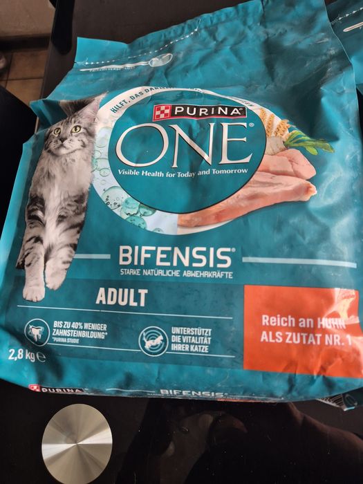 Purina ONE dla dorosłego kota
