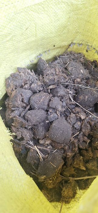 Obornik koński workowany bądź luzem.