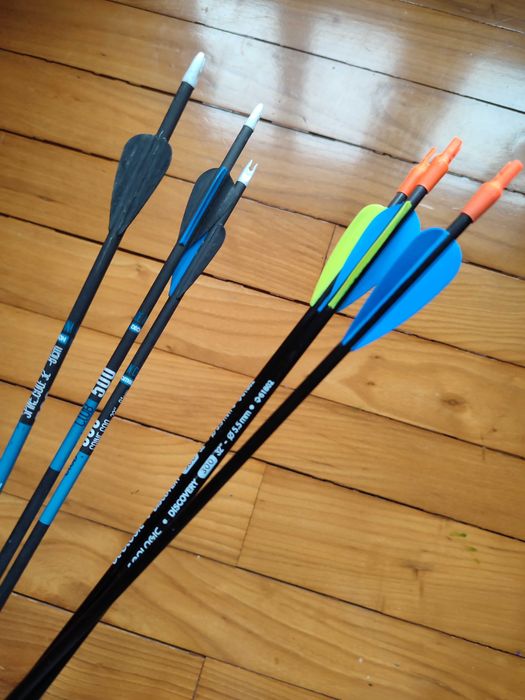 Arco Geologic Club 700 - Como Novo + Setas GRÁTIS + Alvo!