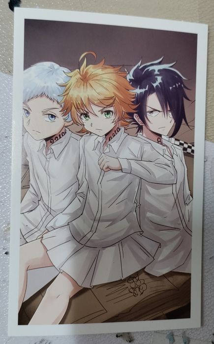 The Promised Neverland cartões