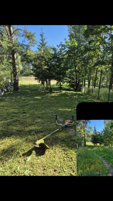 Koszenie trawy . Działki, ogrody, posesje .