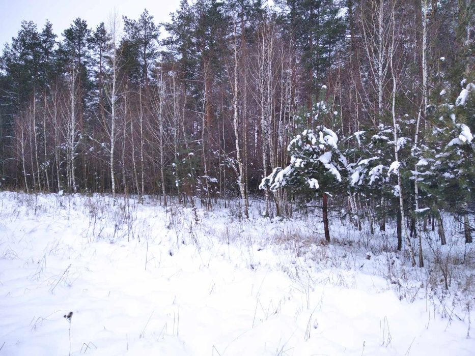 Земельна ділянка 10 соток Киїнка