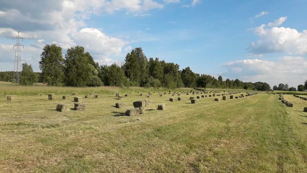 Sprzedam sianko  łąkowe z  koniczyną  z Doliny Liwca  paka ok. 8-10 kg
