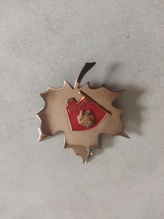 Подарок из прошлого