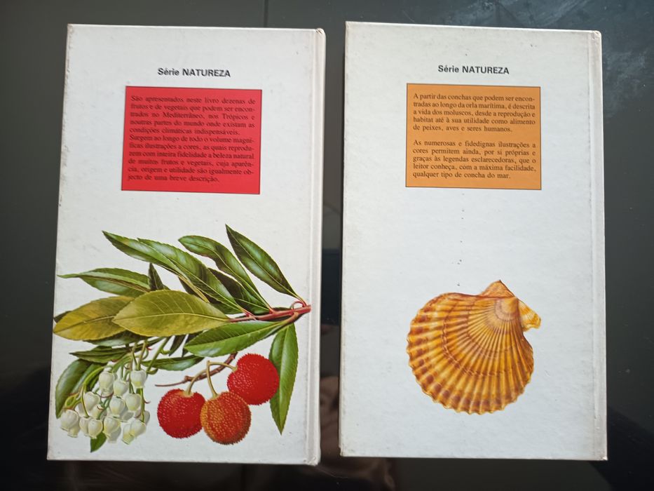 Conchas do Mar e Frutos e Vegetais
