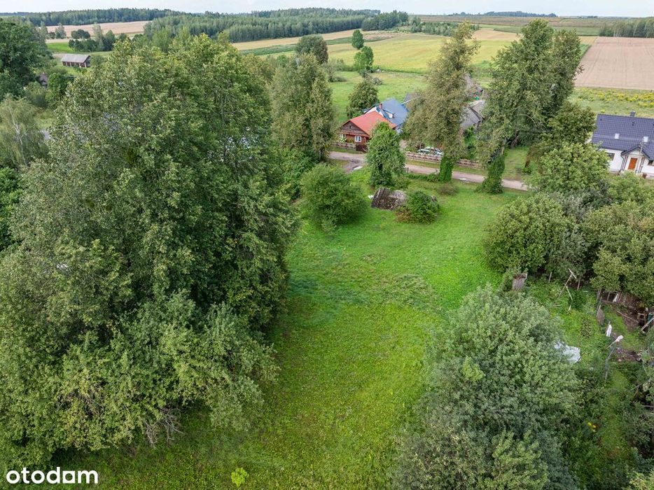 Działka w okolicy Krynek, Ostrów Południowy