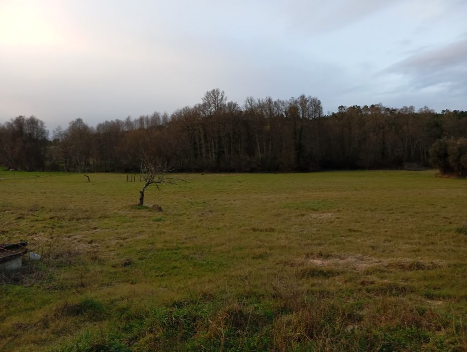 Terreno Agrícola - Vilar Seco