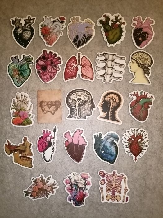 Naklejki anatomia, ciało człowieka - cena za całość