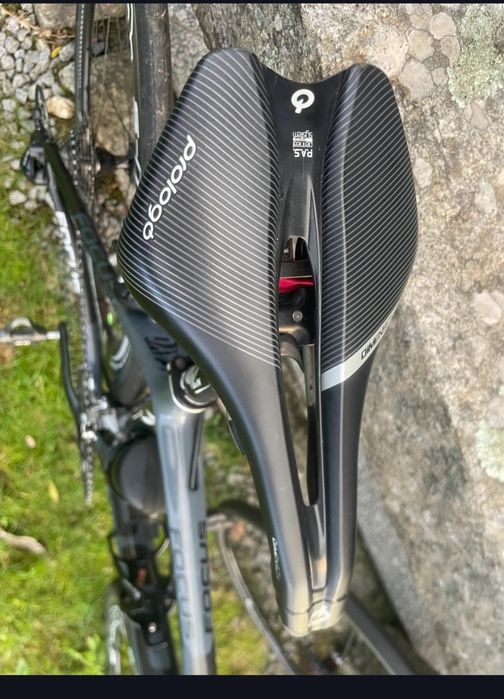 Focus Cayo Carbono