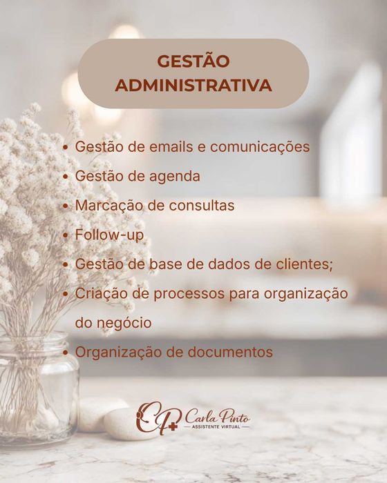ASSISTENTE VIRTUAL ADMINISTRATIVA E FINANCEIRA489310413348546561