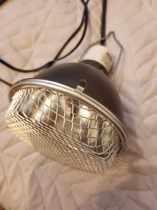 lampa Arcadia z osłoną