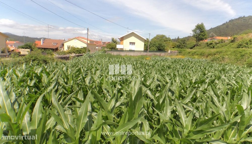 Terreno de construção para venda, Lanhelas; Caminha — Lanhelas, Viana do Castelo
