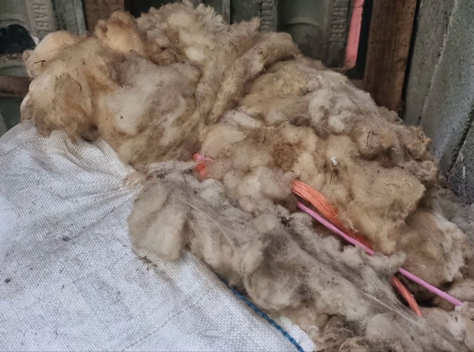 Lã de Ovelha - Big Bag