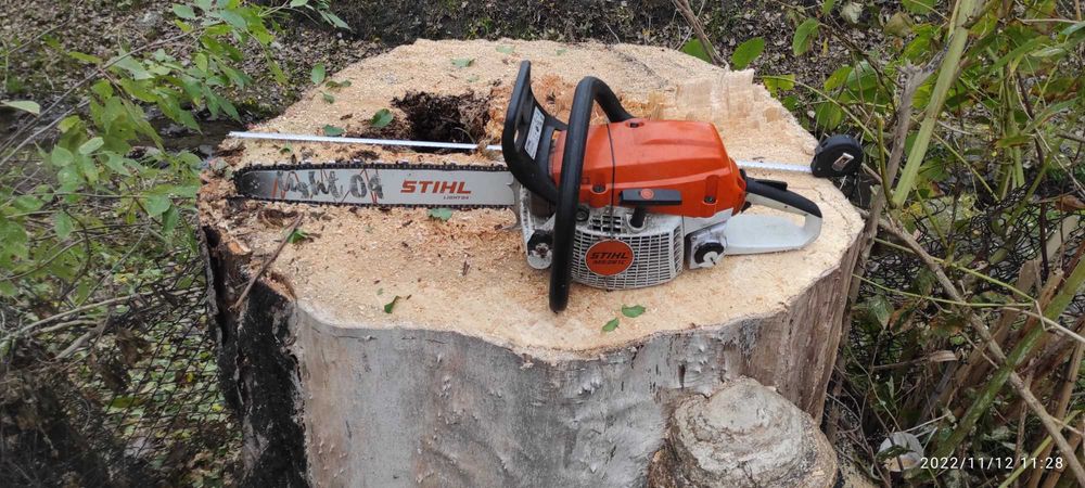 Wycinka i pielęgnacja drzew,  szybka realizacja, zabieramy gałęzie