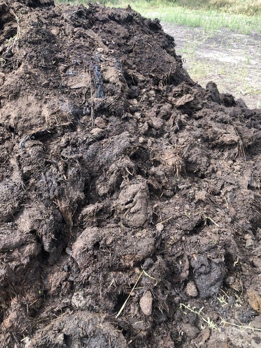 Obornik naturalny bydlęcy