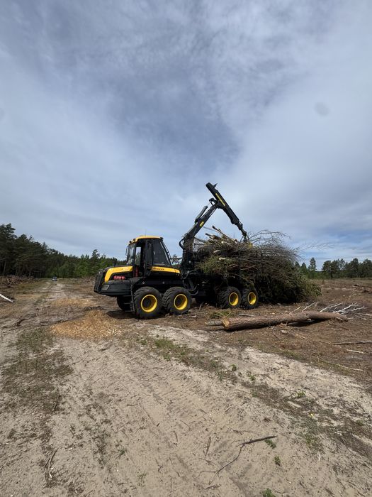 Wycinka lasów i rekultywacjia terenu