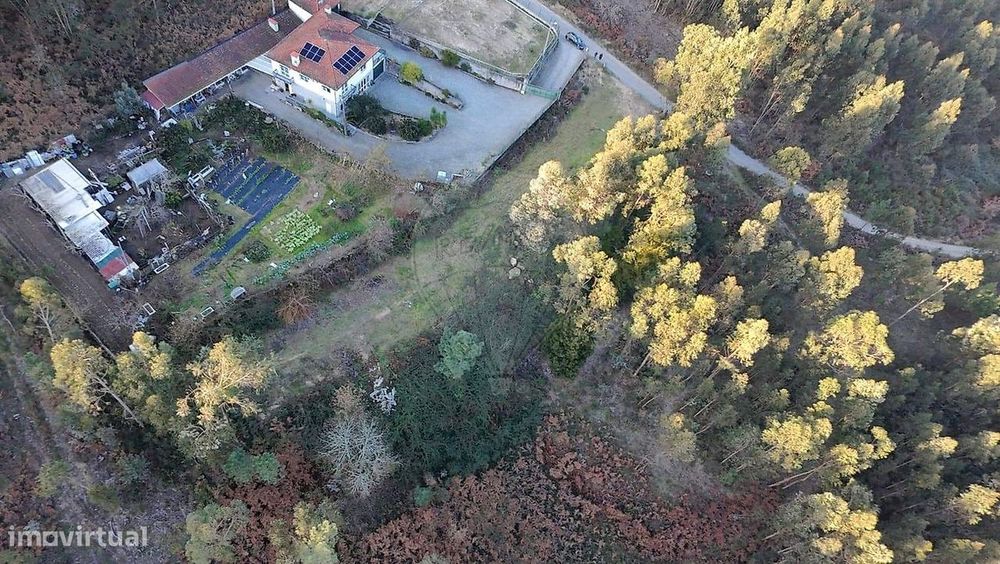 Terreno  para venda