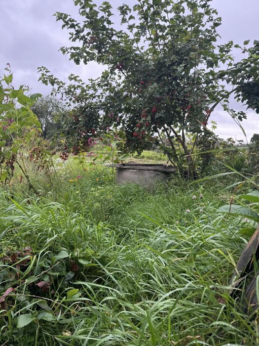 Земельна ділянка під забудову