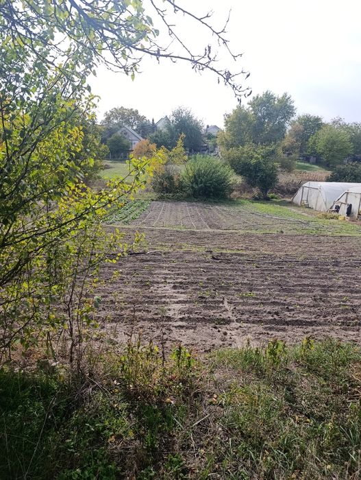 Продам дом участок Куриловка