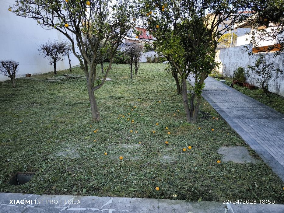 Terreno para Venda em São João da Madeira
