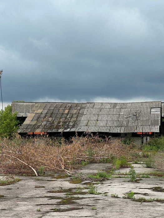 Продаж частини колишнього колгоспного двору, с. Олишівка