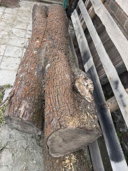 Колода ( бревно )  з горіха, груші, шовковиці