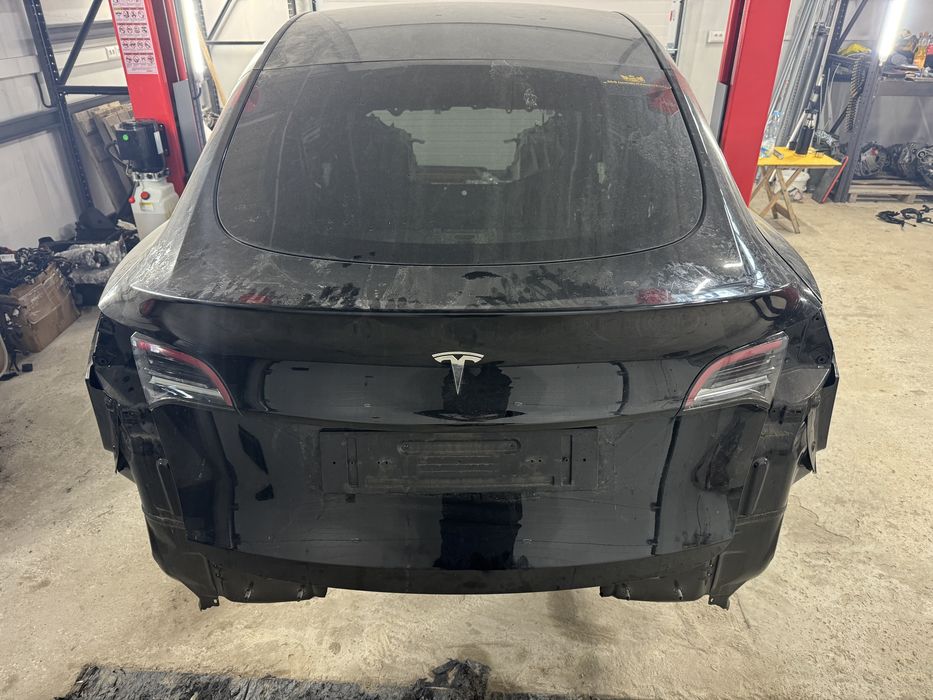 Ляда   model   Y