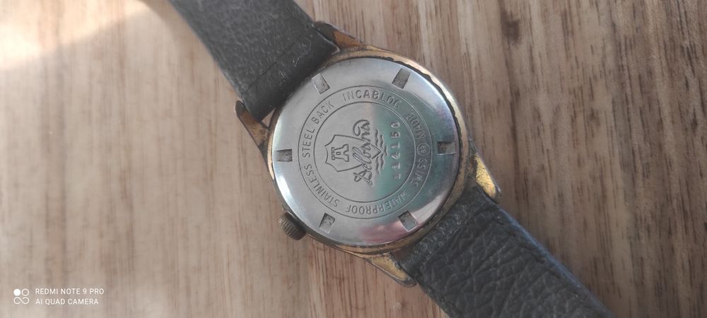 Zegarek Delbana Swiss Made Inabloc
