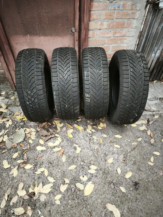 Шини Lassa Competus Winter 2