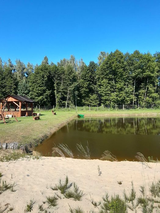 dom na wynajem  na wsi