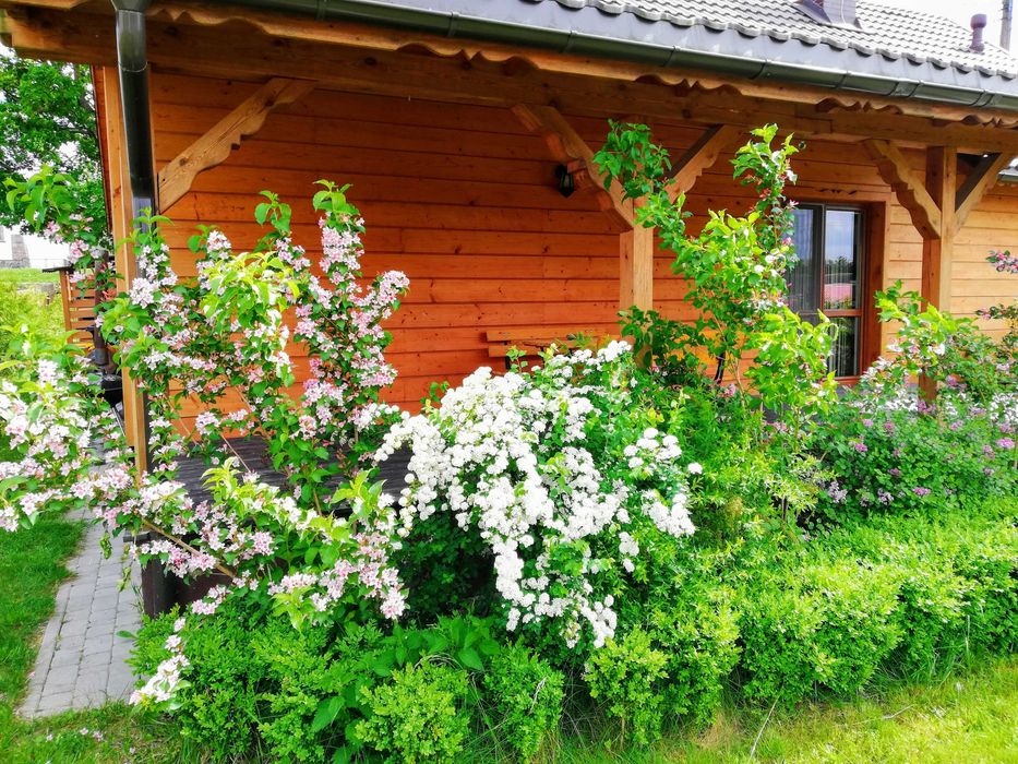 Dom na wakacje lub urlop na Podlasiu.