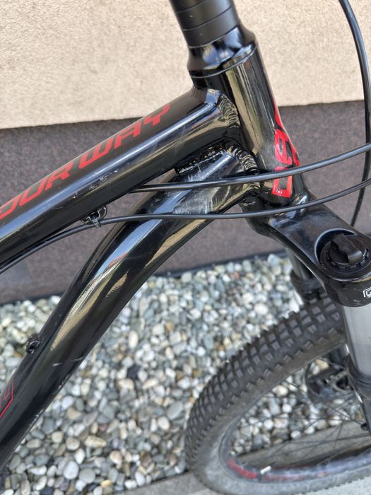 Dartmoor sparrow intro 27.5