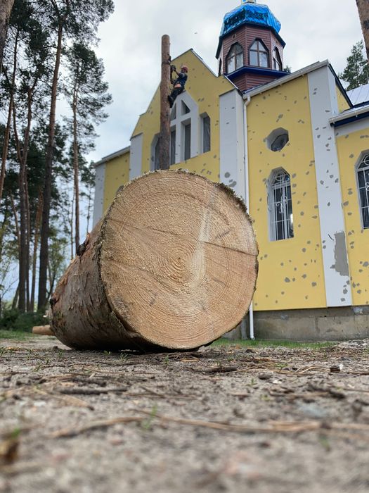 Спилить дерево обрезка дерева кронирование арборист альпинист аварийное дерево срезать дерево дрова