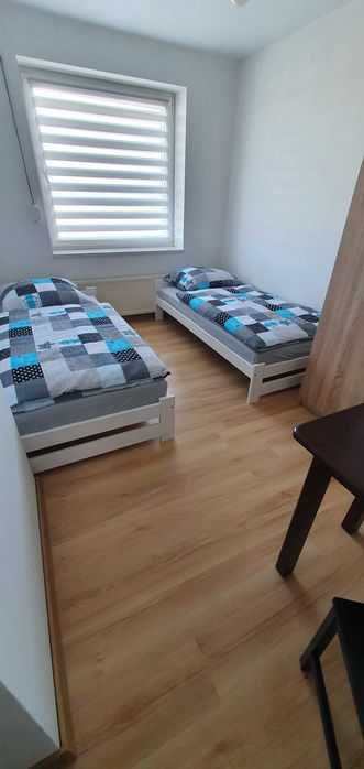 Pokoje do wynajęcia w Buku