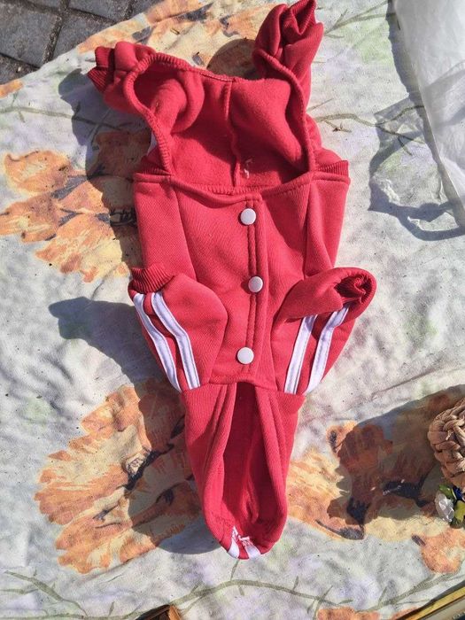 Roupas para Cão Pequeno – Casaco de Inverno e Fato Desportivo