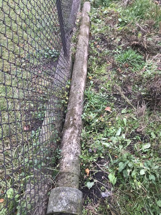 Дошка соснова не обрізна