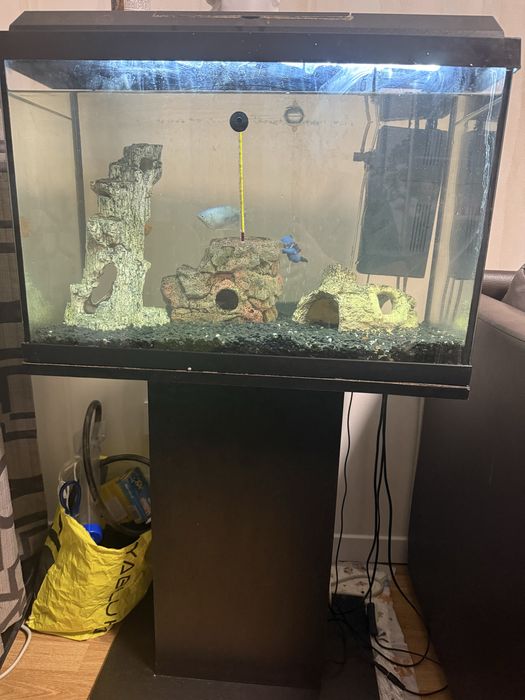 Акваріум Juwel Primolux 60l