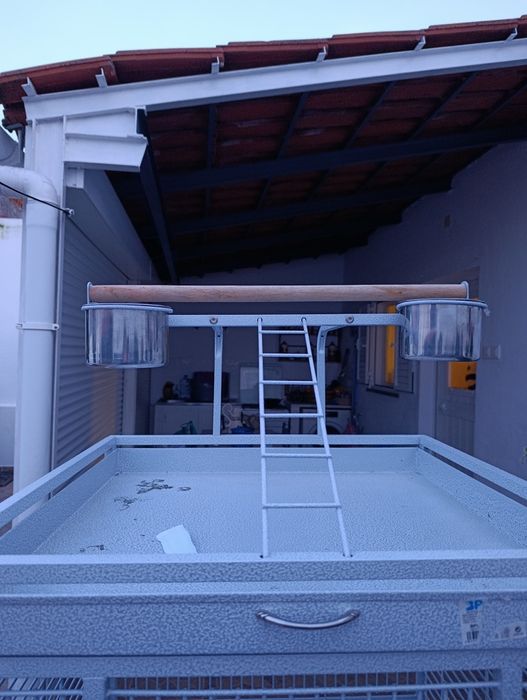 Gaiola para papagaio