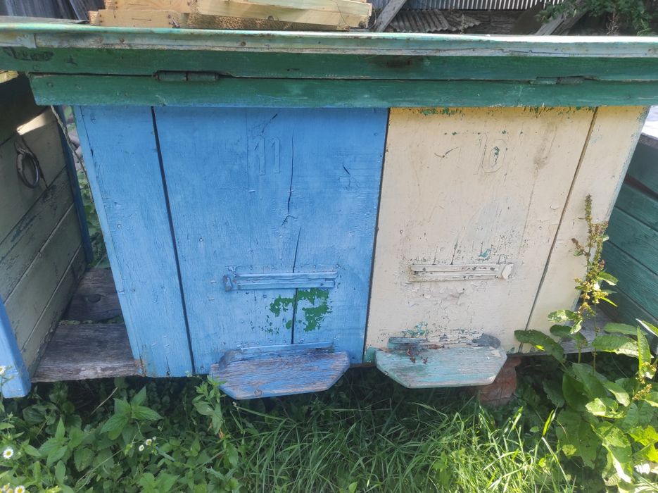 Продам вулики дадан