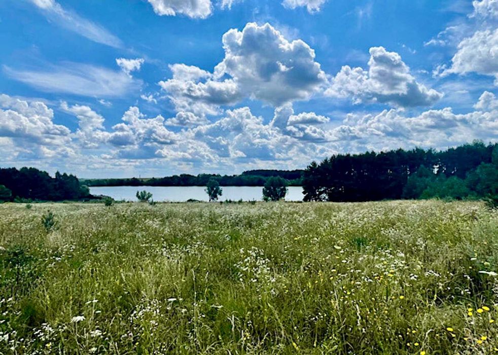 Ділянка в мальовничому с. Рівець