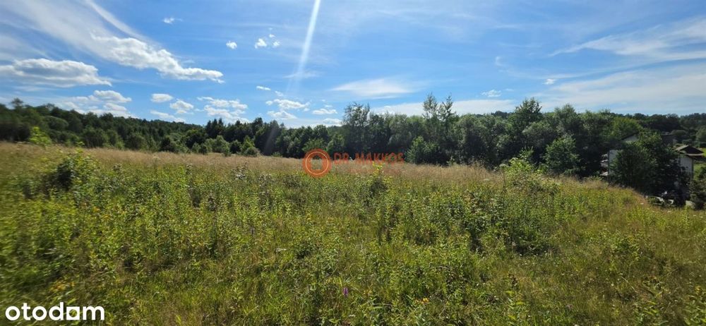 Działka z potencjałem blisko Krakowa-Nowa cena!!! - Widok 4