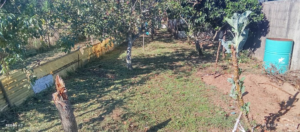 Limpeza terrenos e jardins