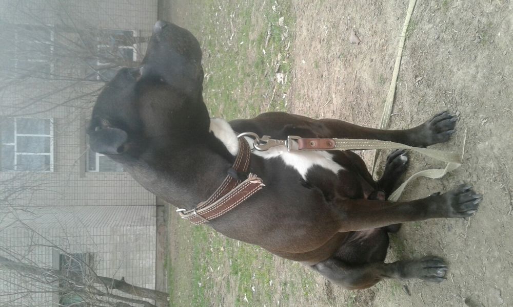 Безкоштовно