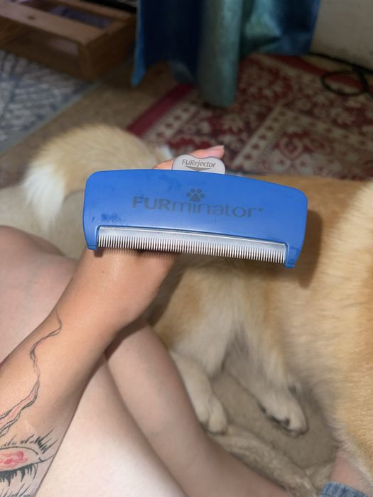 Інструмент для видалення підшерстя FURminator для довгошерстих собак, розмір L