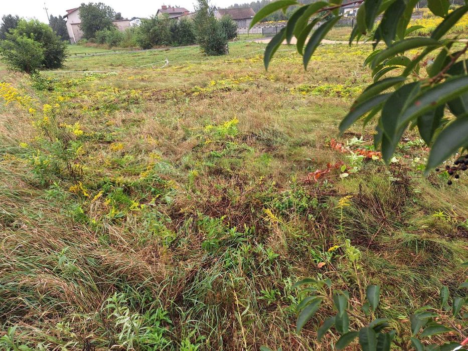 Mirów ul. Turystyczna, świetna lokalizacja, wydane WZ, blisko centrum 710 m² dojazd z dwóch stron działki - Widok 5