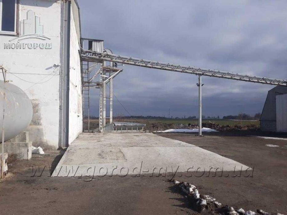 Бізнес з виробництва соняшникової олії в Україні. Олійниця. Завод