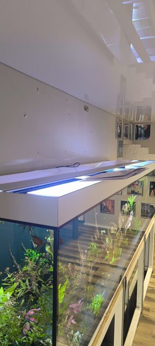 Akwarium 300x70x60