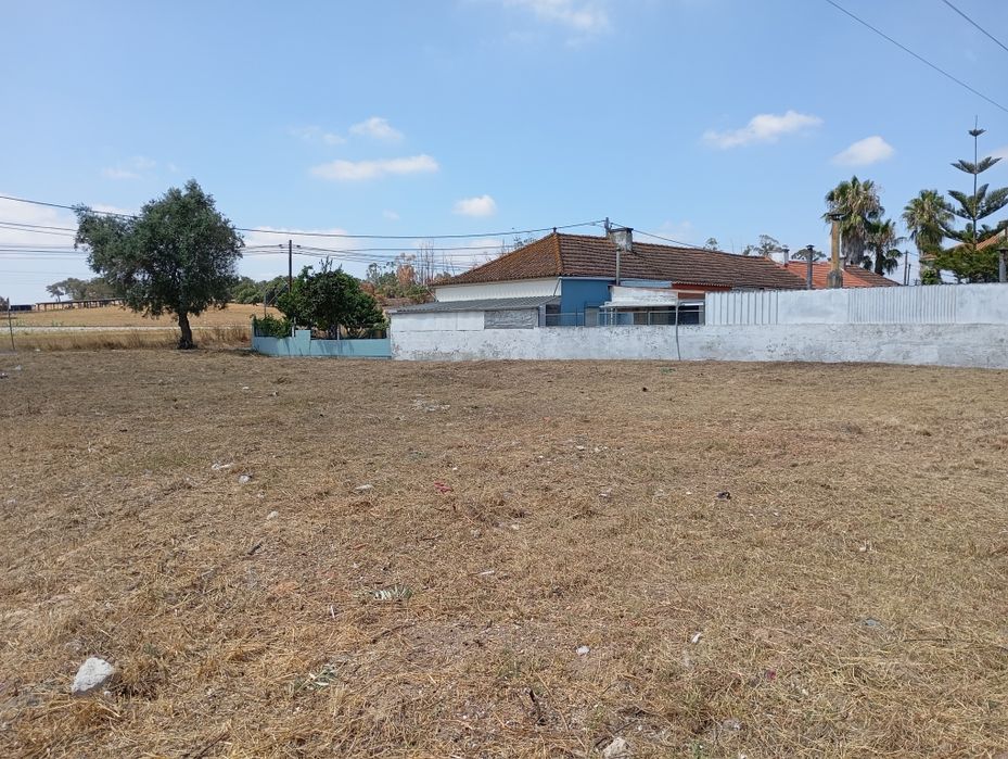 Limpeza de terrenos e jardim
