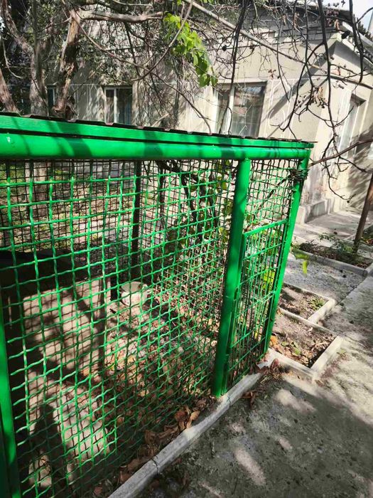 Продам газифікований будинок 100,1 кв.м зі зручностями та ділян 15сот