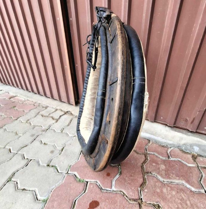 Chomąto na konia